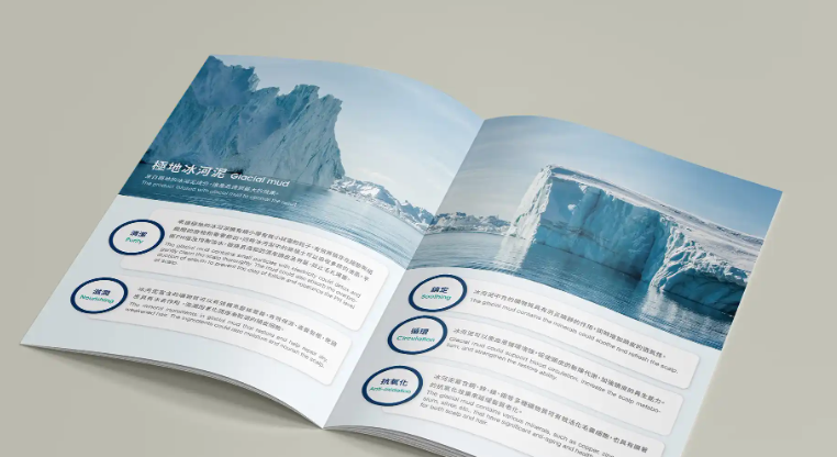 樣本畫冊糖心VLOG官方下载廠家怎樣選？